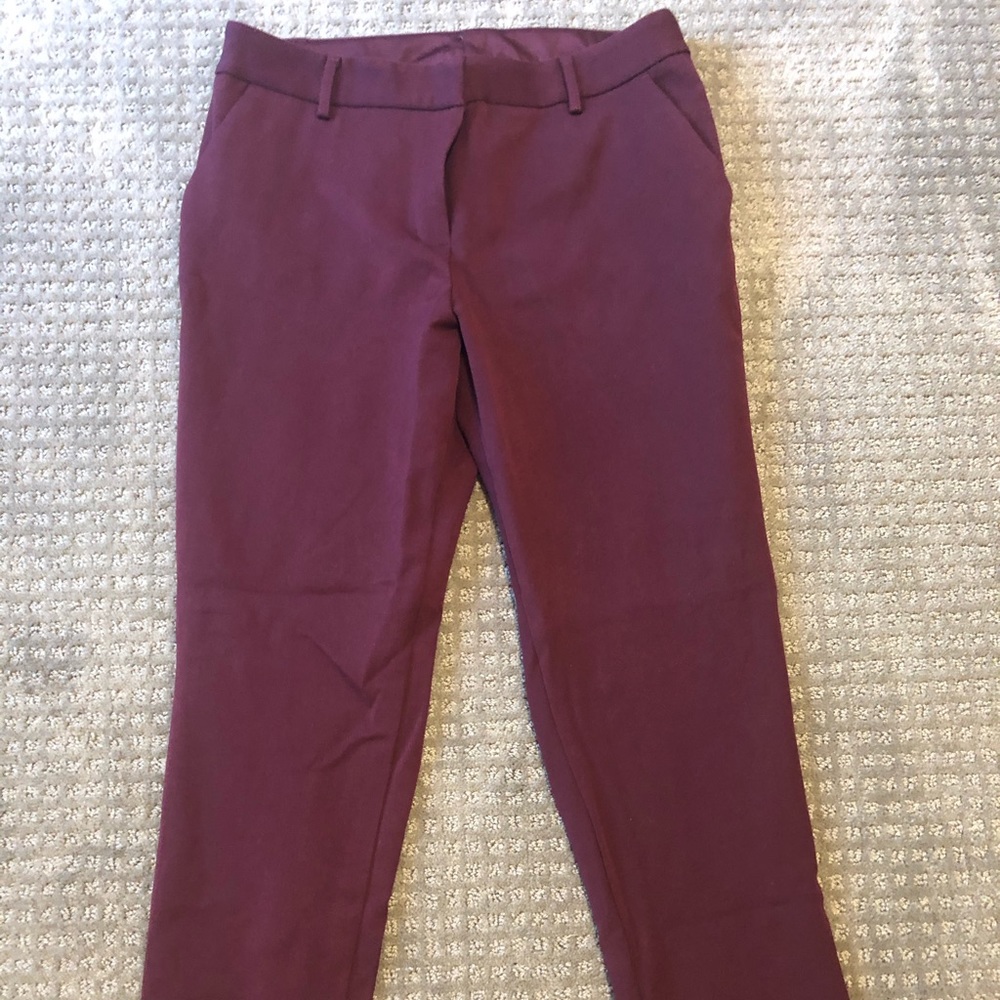 Tailored express burgundy dress pants